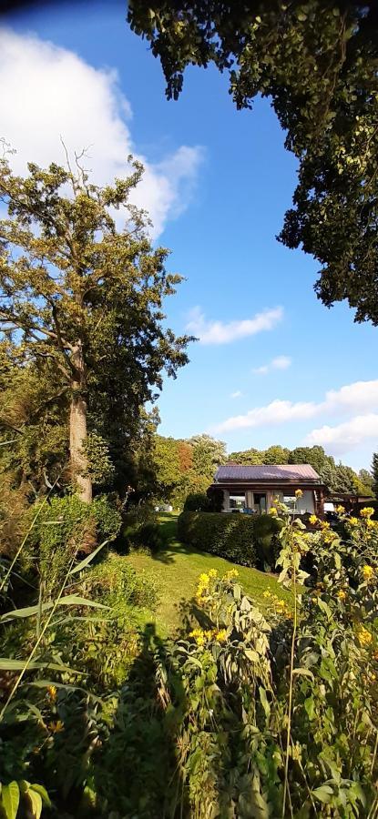 Bungalow Idylle Am See 네우루핀 외부 사진