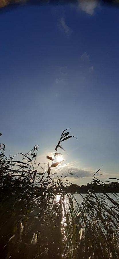Bungalow Idylle Am See 네우루핀 외부 사진
