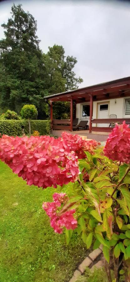 Bungalow Idylle Am See 네우루핀 외부 사진