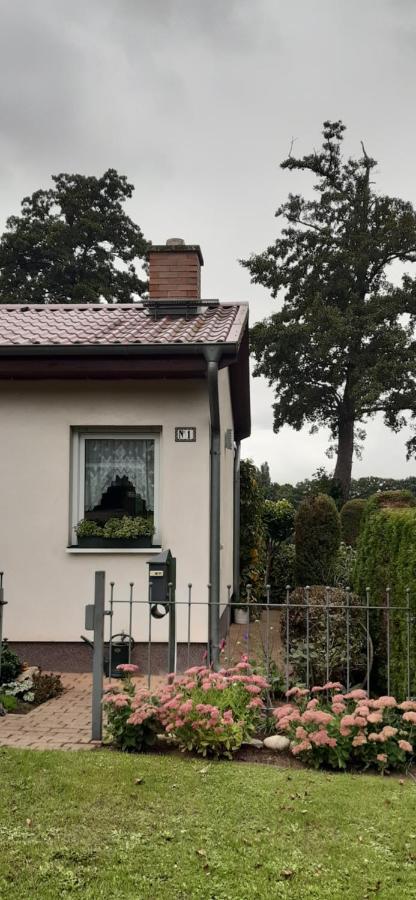Bungalow Idylle Am See 네우루핀 외부 사진