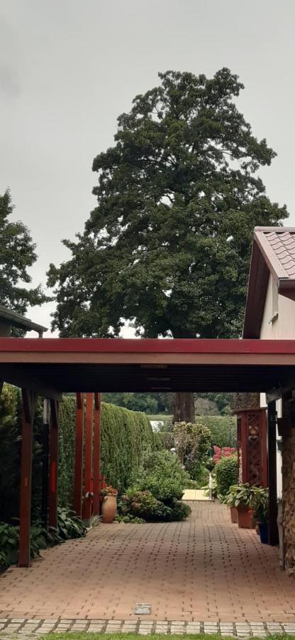 Bungalow Idylle Am See 네우루핀 외부 사진
