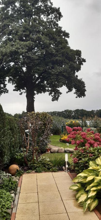 Bungalow Idylle Am See 네우루핀 외부 사진