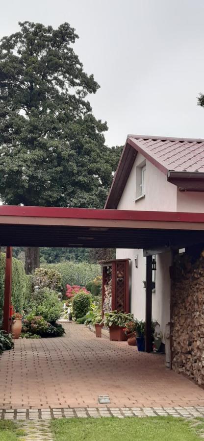 Bungalow Idylle Am See 네우루핀 외부 사진